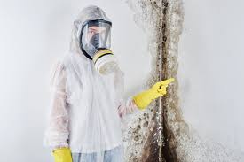 Best Biohazard Mold Removal  in East Sparta, OH